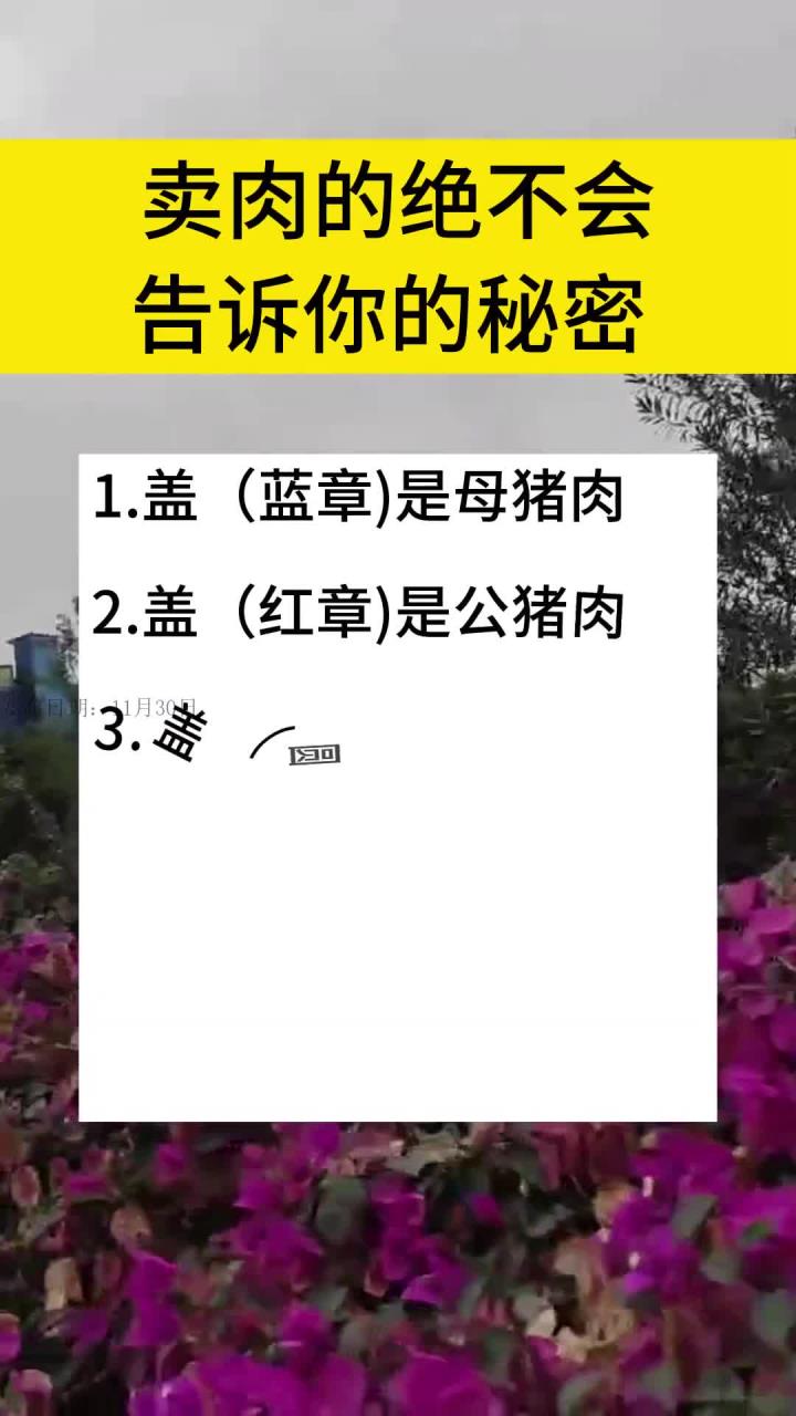 卖肉的绝不会告诉你:盖(蓝章)是母猪肉,盖(红章)是公猪肉