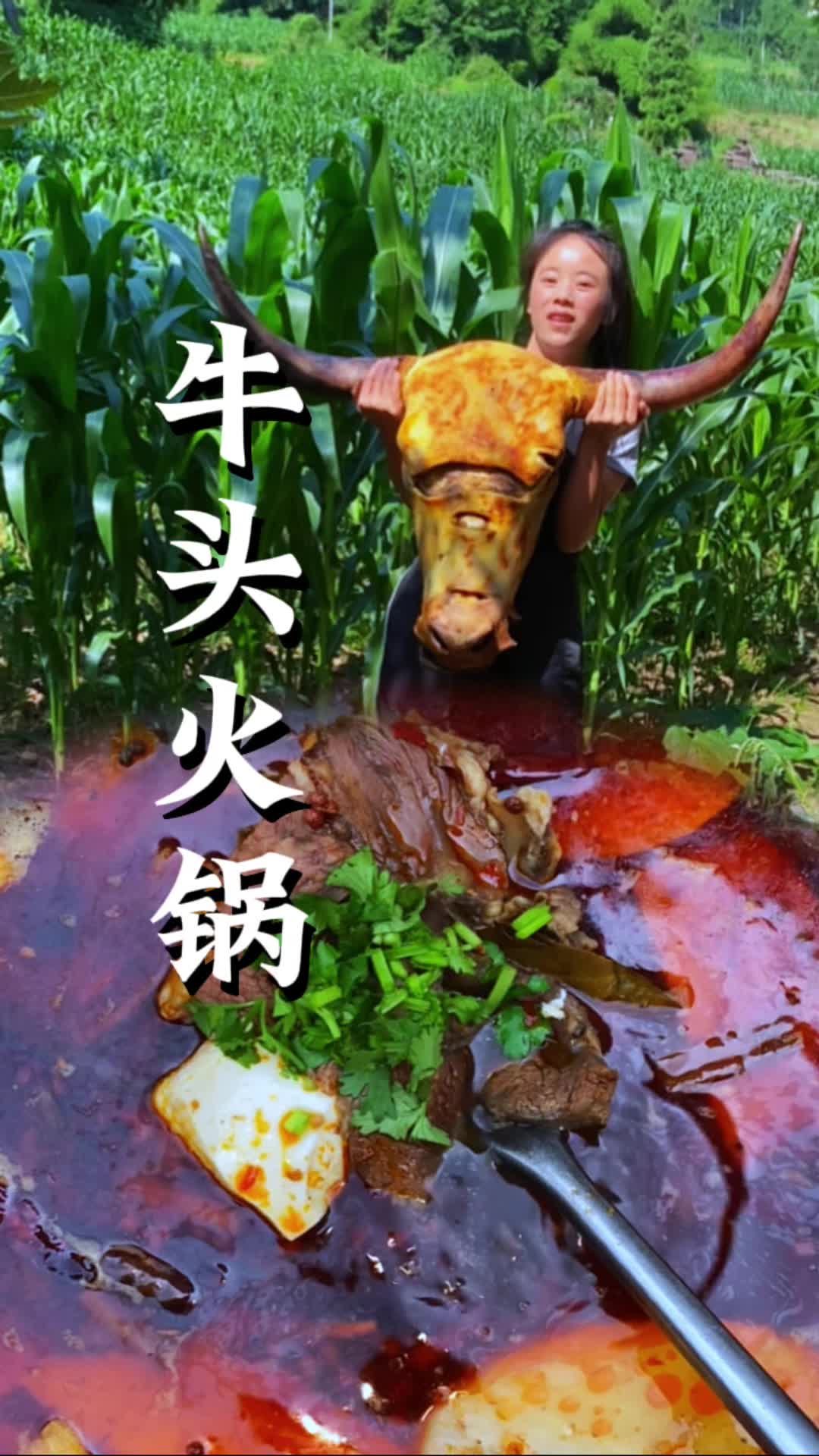 牛气冲天的美食——牛头火锅，耗时两天时间，终于吃上了