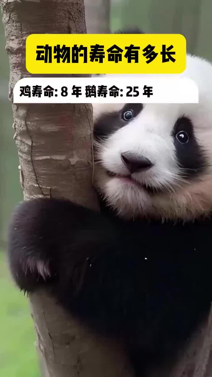 动物寿命有多长 你知道吗