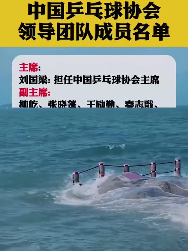中国乒乓球协会领导团队成员名单