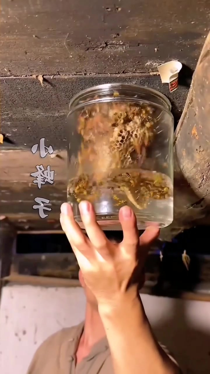 广东朋友看了都说地道!《一碗汤》收录了经典广式靓汤的做法,在