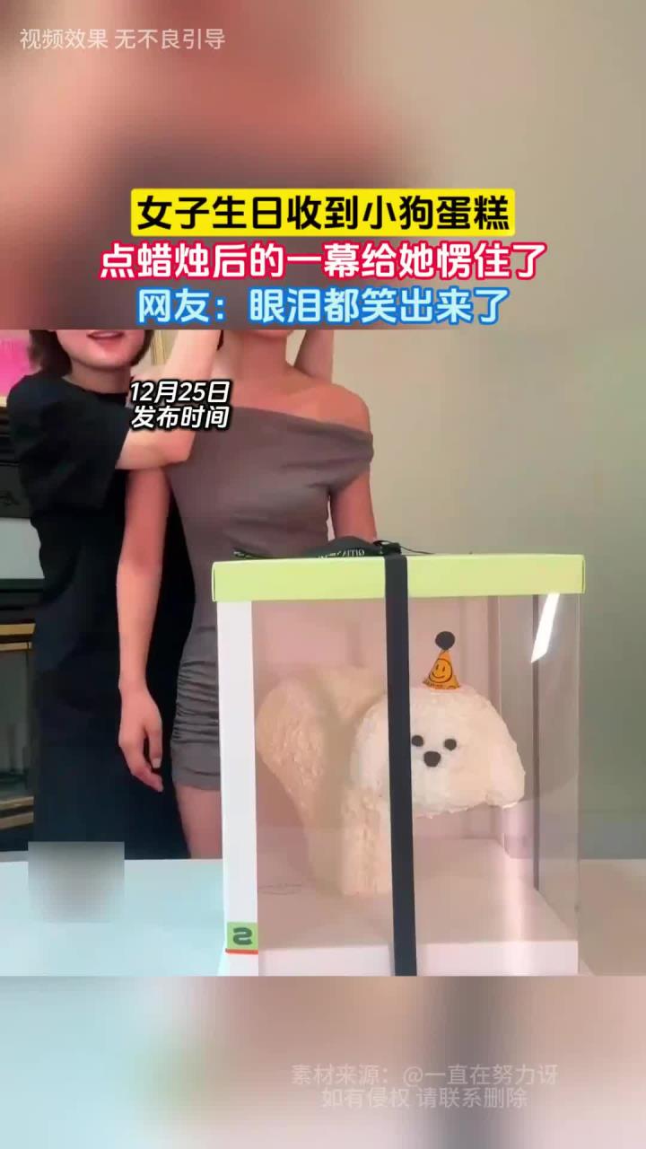 女子生日收到小狗蛋糕,点蜡烛后的一幕给她愣住了,网友:眼泪都笑出来了