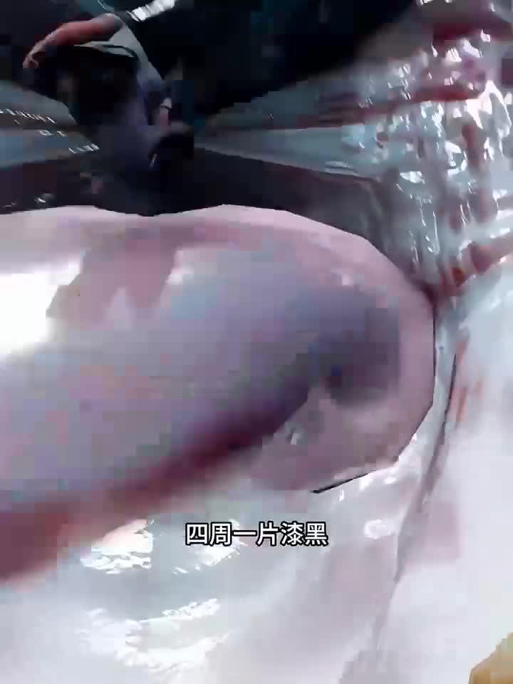 如果鲸鱼把你吞进了嘴里