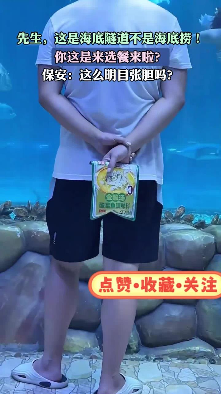 先生,这是海底隧道不是海底捞!你来选餐了是吧?