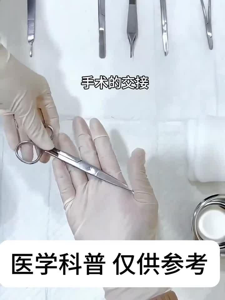 医学生实操训练:猪心脏解剖剪切过程全记录