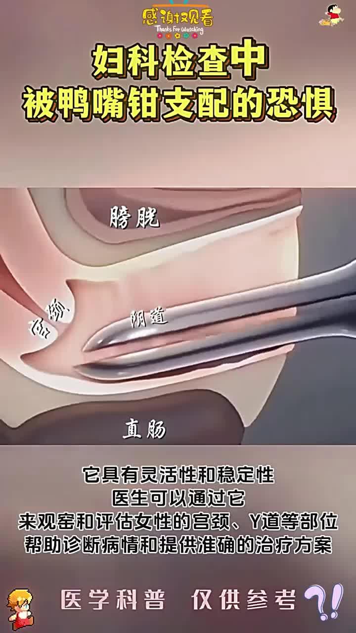 女性必看:鸭嘴钳使用指南