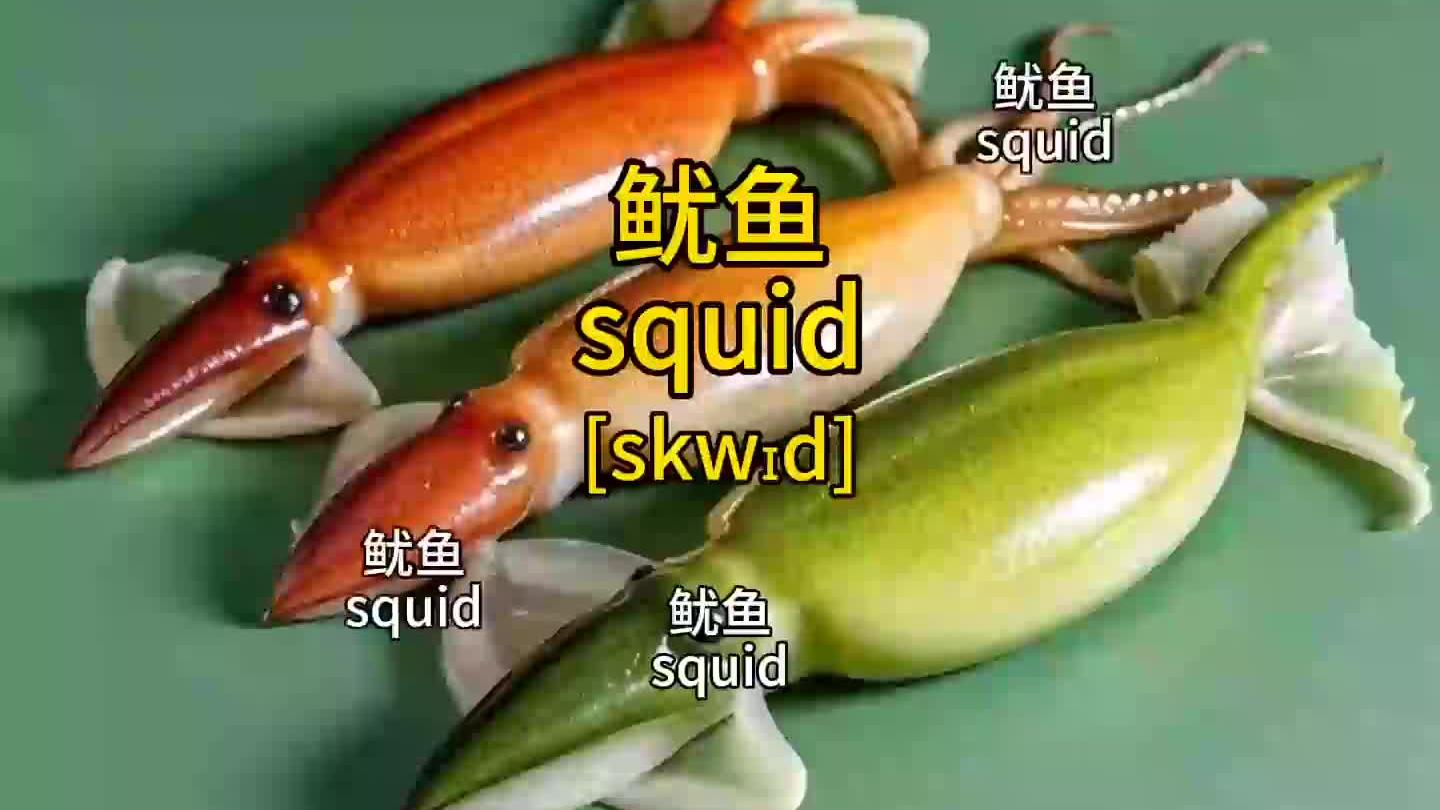 “鱿鱼”的英语亖贵的各种海鲜的英语单词