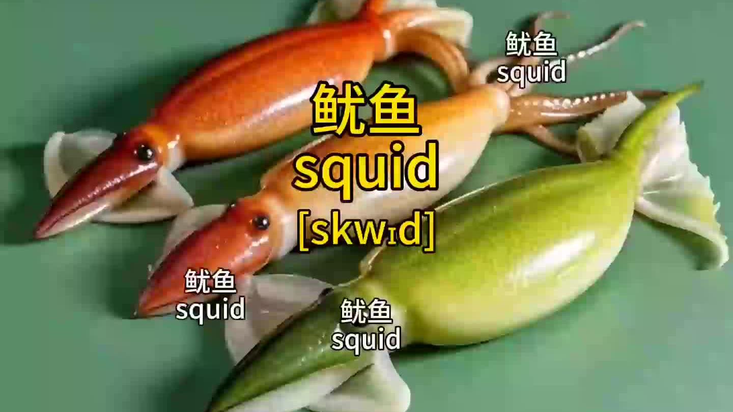 “鱿鱼”的英语亖贵的各种海鲜的英语单词