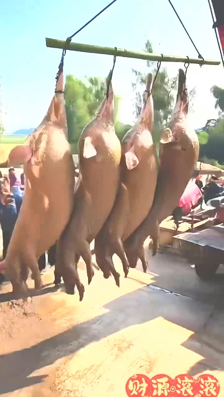 农村杀猪宴
