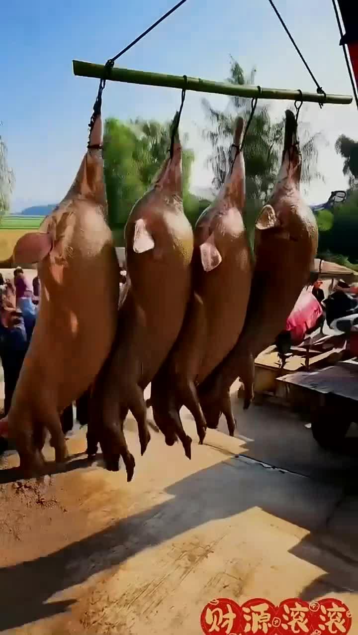 农村杀猪宴
