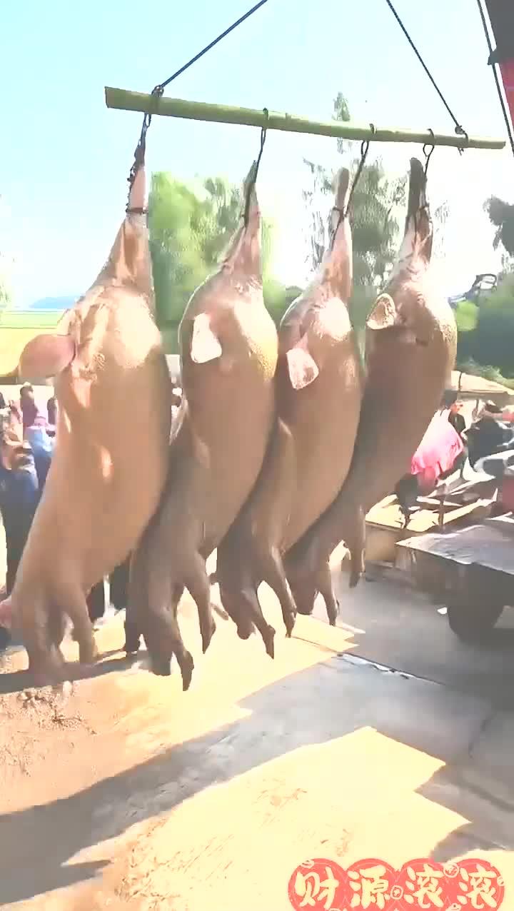 农村杀猪宴