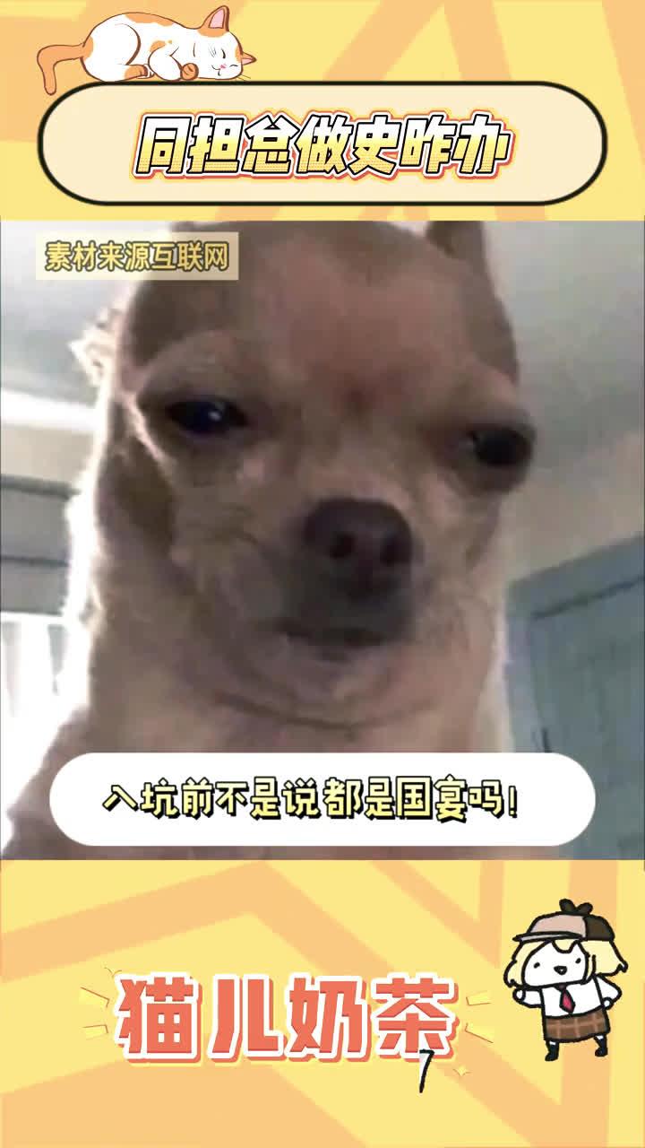 不是！同担总做史怎么办啊！