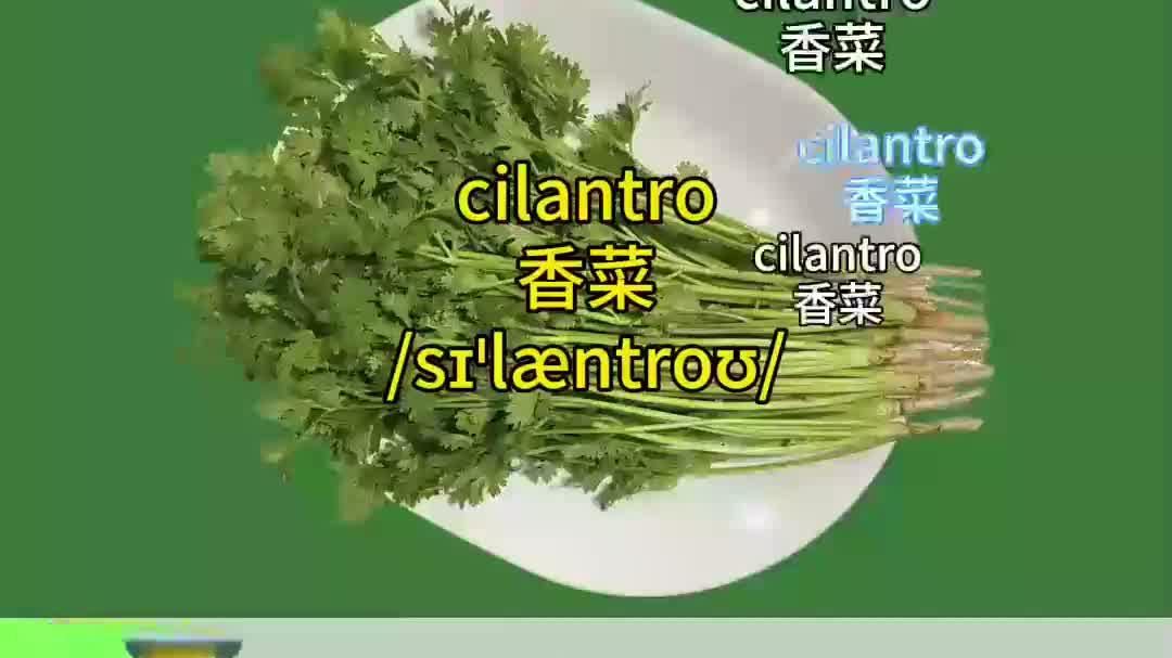 「第三十四集」跟着芫荽叶学英语,挑战十秒一个单词!