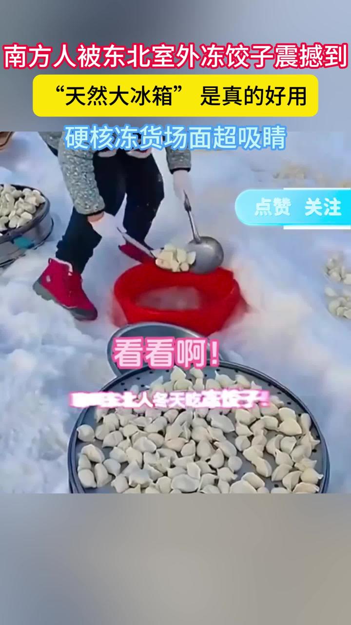 南方人被东北冻饺子现场震撼到了!东北室外大冰箱就是好使