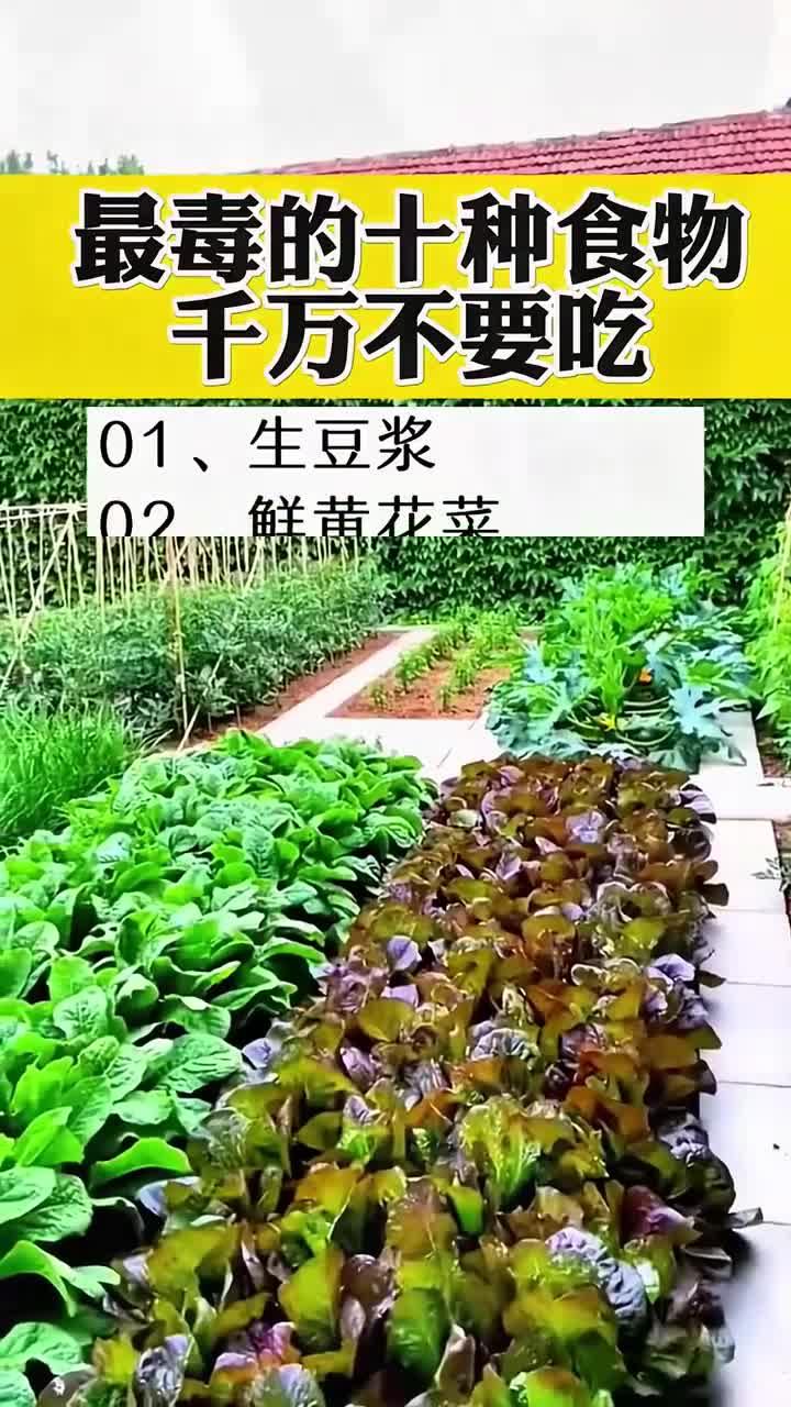 健康干货:排毒养生,健康生活
