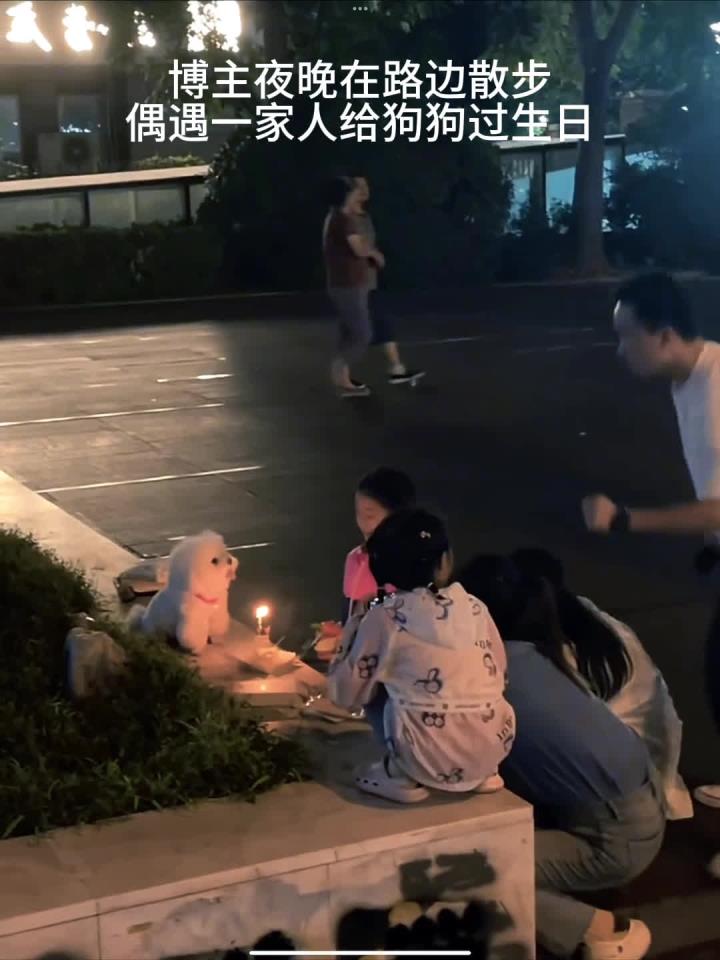 狗狗我呀今天生日,家里人给我准备了生日蛋糕