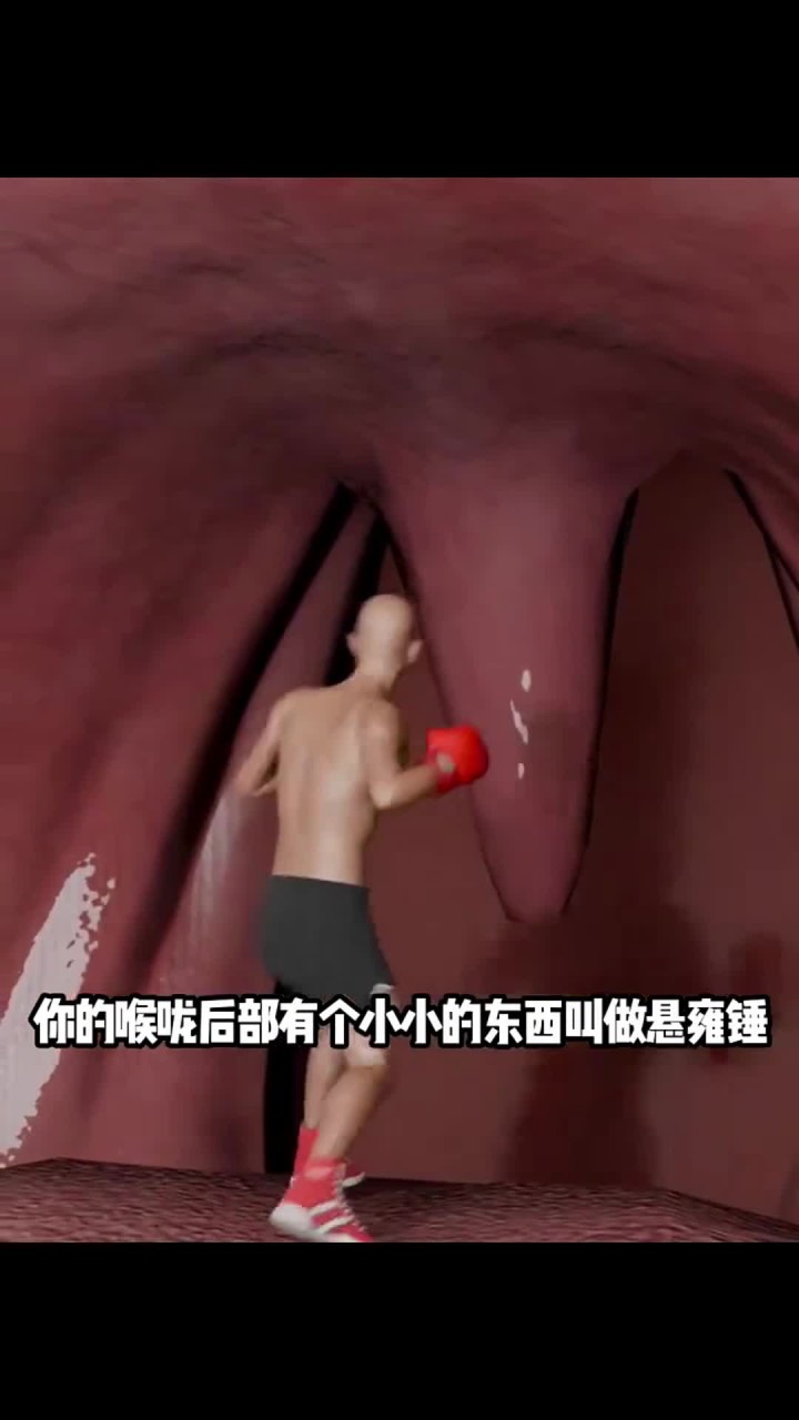 喉咙里的小肉球有什么用？
