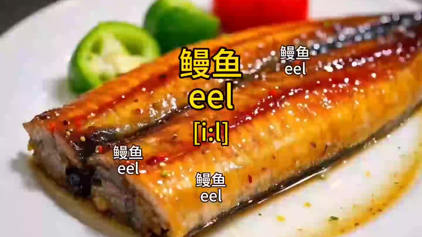 “鳗鱼”的英语怎么说？