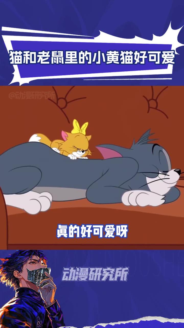 猫和老鼠里的小黄猫好可爱