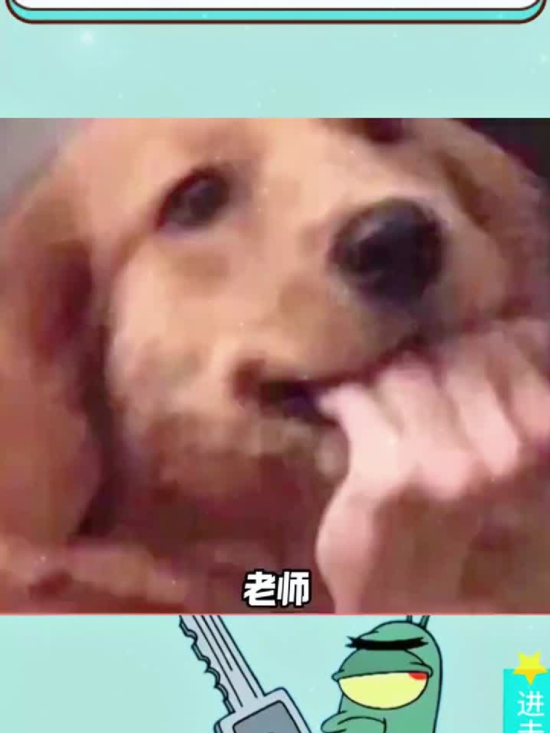 老师:说句实话,嘿嘿嘿,我都有,羡慕不