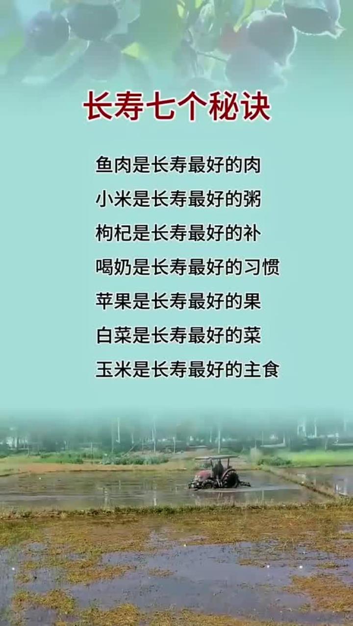 长寿七个秘诀,小米是长寿最好的粥,白菜是长寿最好的菜