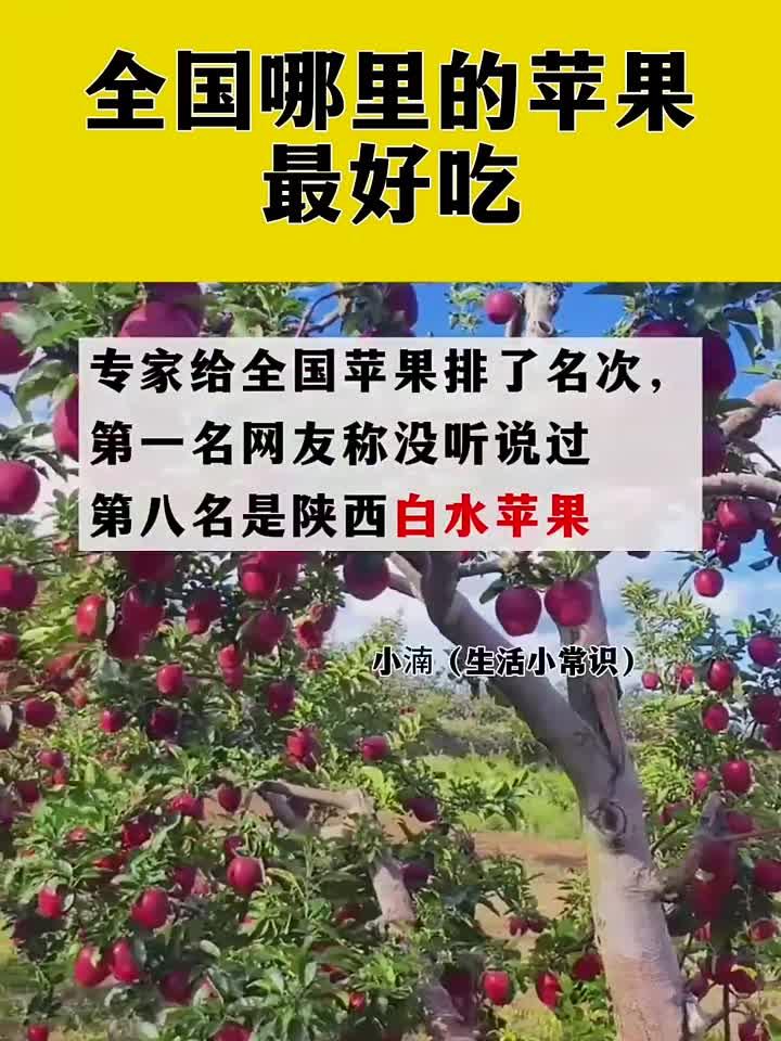 全国哪里的苹果最好吃你知道吗？