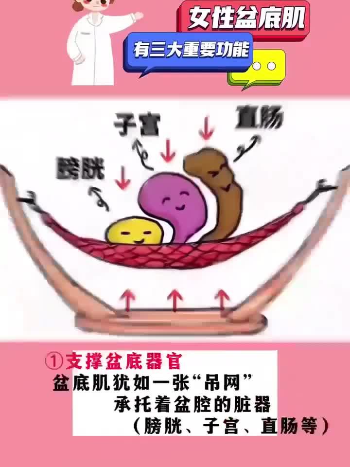 避开这些误区,正确锻炼女性盆底肌