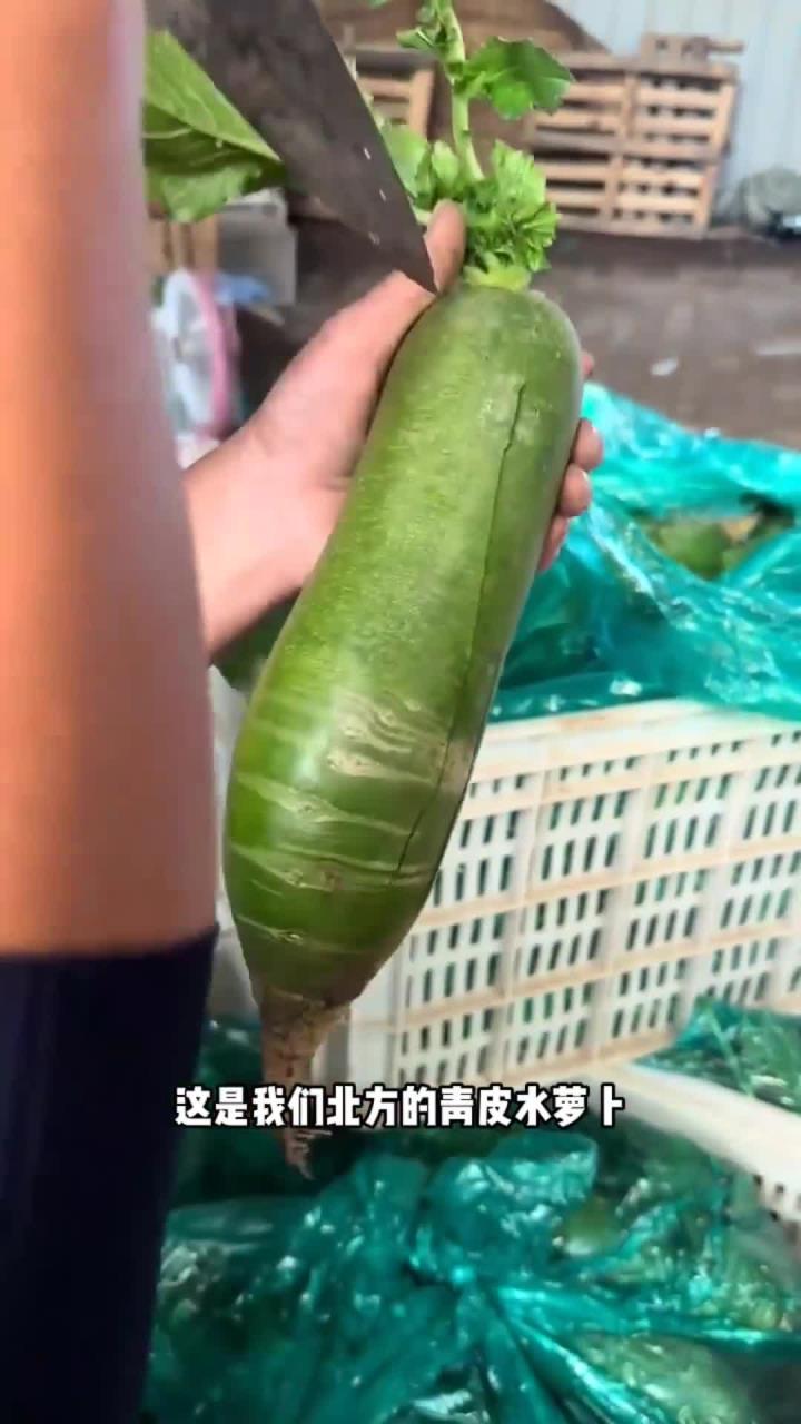 北方的水萝卜,千万别削皮