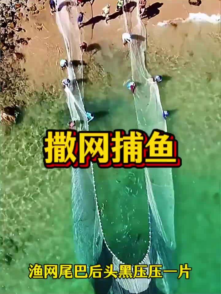 越南渔民将一张百米长的巨型渔网,扔进大海撒网捕鱼!