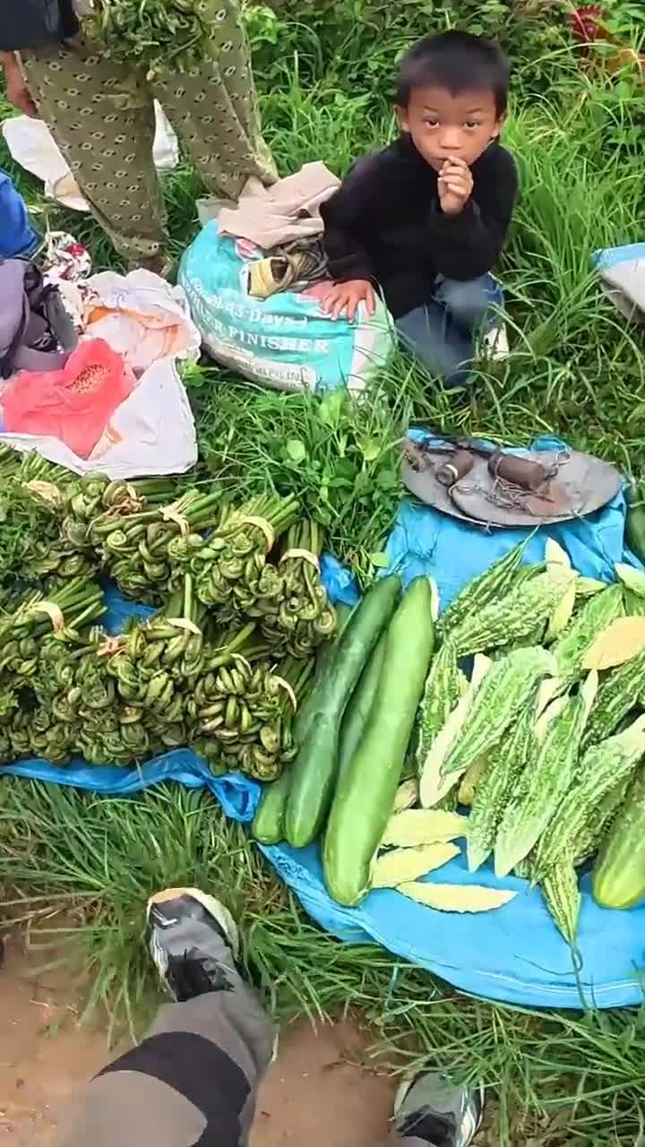 尼泊尔的路边摊,卖各种各样的蔬菜,蕨菜都好几种