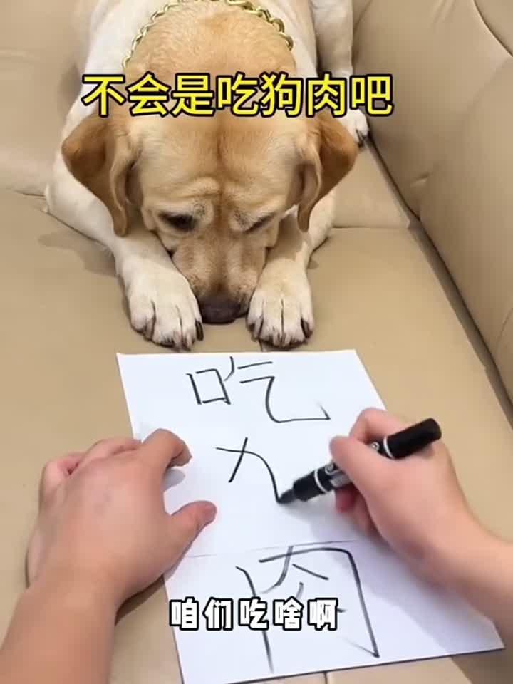 吃狗肉可不行