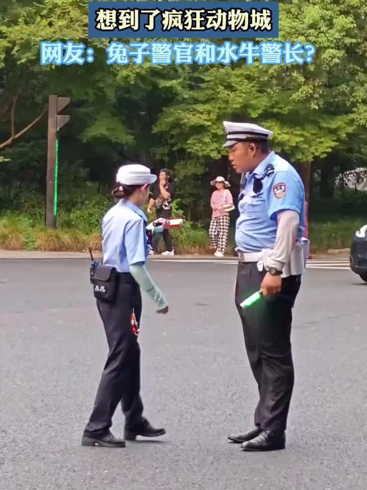 两名执勤的交警神似卡通人物,想到了疯狂动物城
