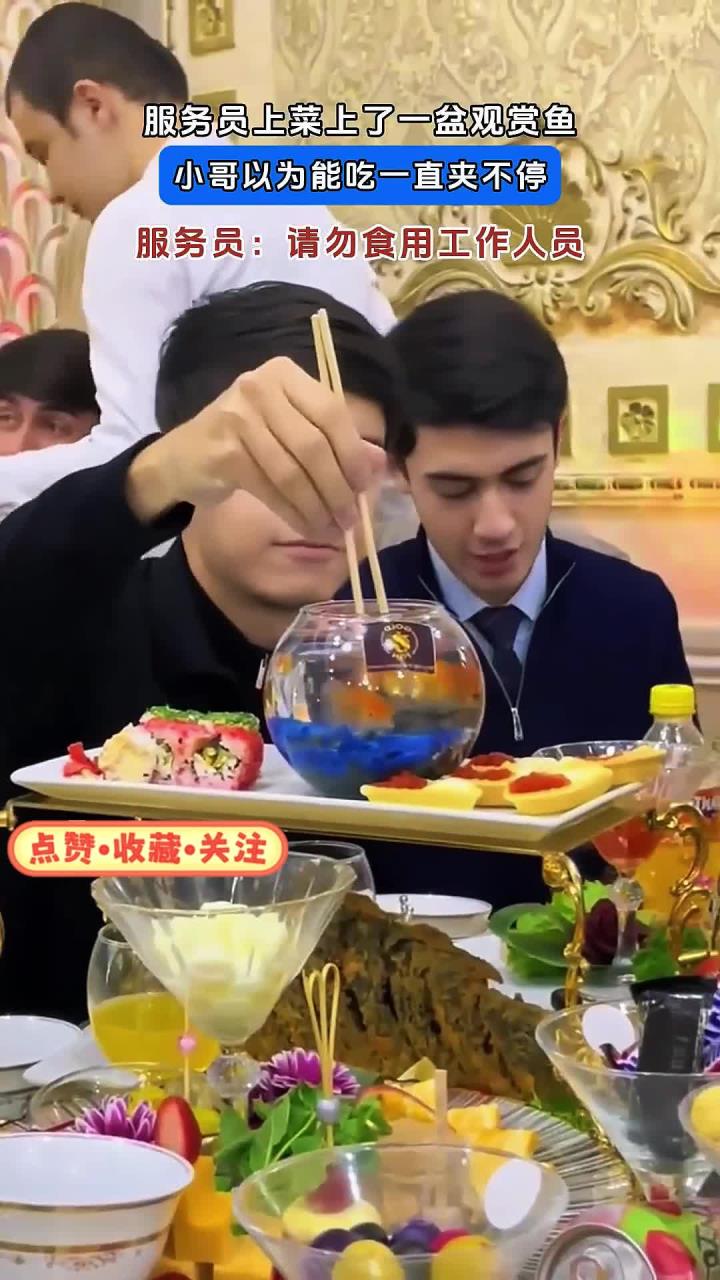 服务员上菜上了一盆观赏鱼,小哥以为能吃一直夹不停