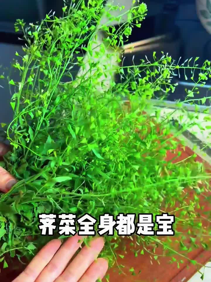 荠菜花煮鸡蛋,三月三的养生秘诀!