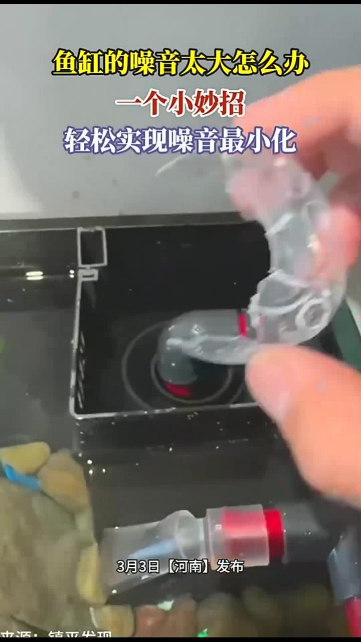 鱼缸的噪音太大怎么办,一个小妙招,轻松实现噪音最小化