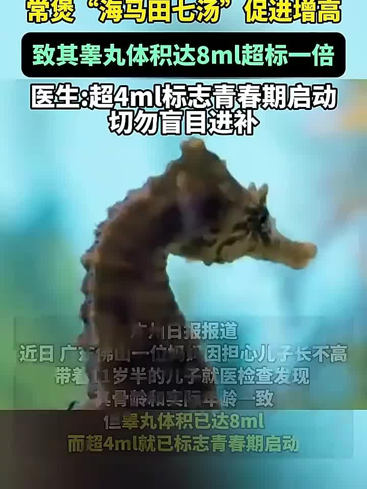 健康伴左右岁岁皆无忧，担心儿子长不高，妈妈常煲“海马田七汤”
