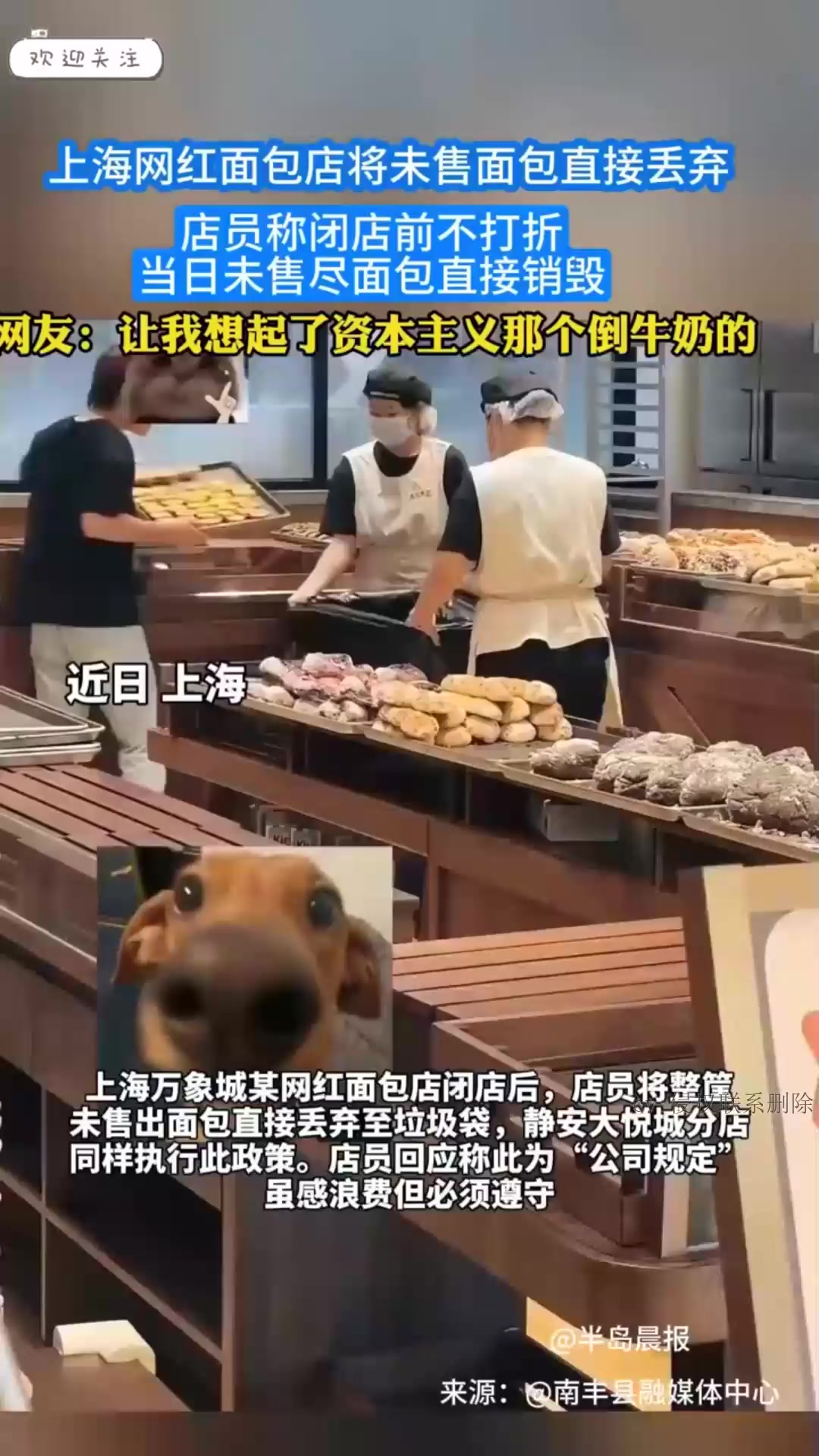 上海网红面包店,未售面包直接丢,店员:闭店不打折!