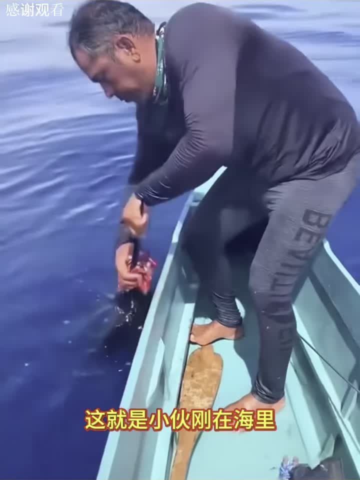 长嘴巴的大鱼,这是什么品种