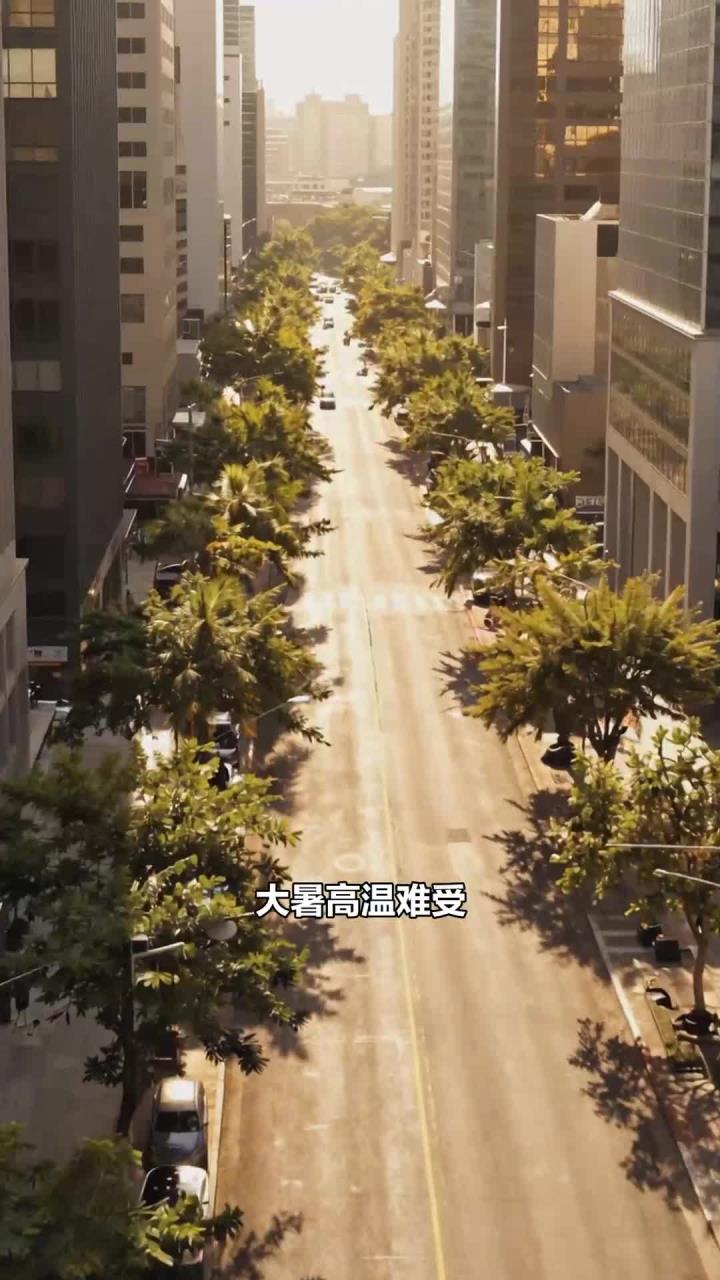 大暑节气多吃绿豆汤、酸梅汤、西瓜,清热解暑应对高温天气