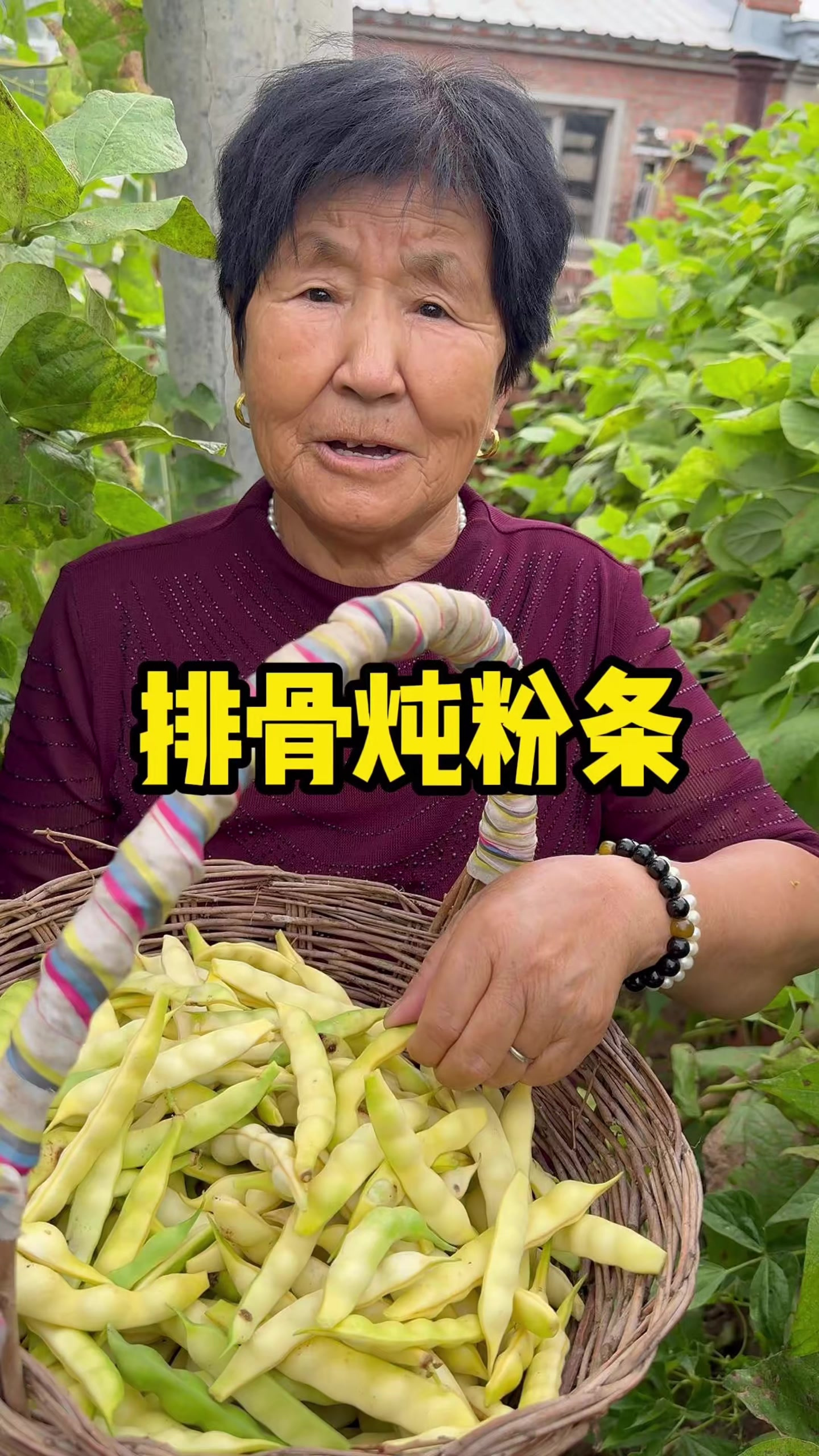 今天帮姥姥摘豆角晾豆角 开始囤冬天菜了