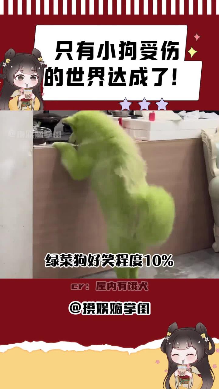 小狗:家人们谁懂啊,麻麻因为他的一个视频,我变成菜狗了