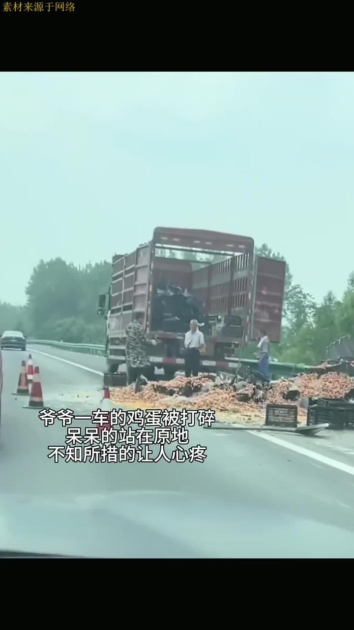 打碎的是鸡蛋,散落的却是生活