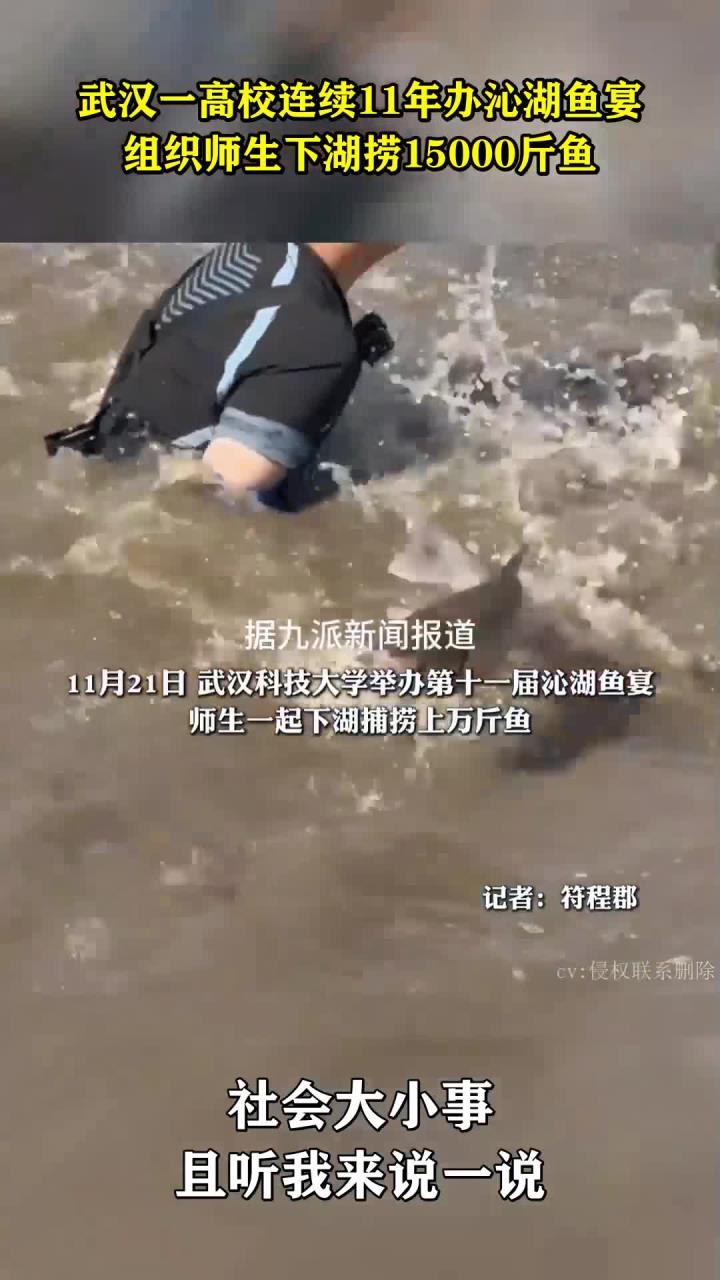 武汉一高校连续11年办沁湖鱼宴,组织师生下湖捞15000斤鱼