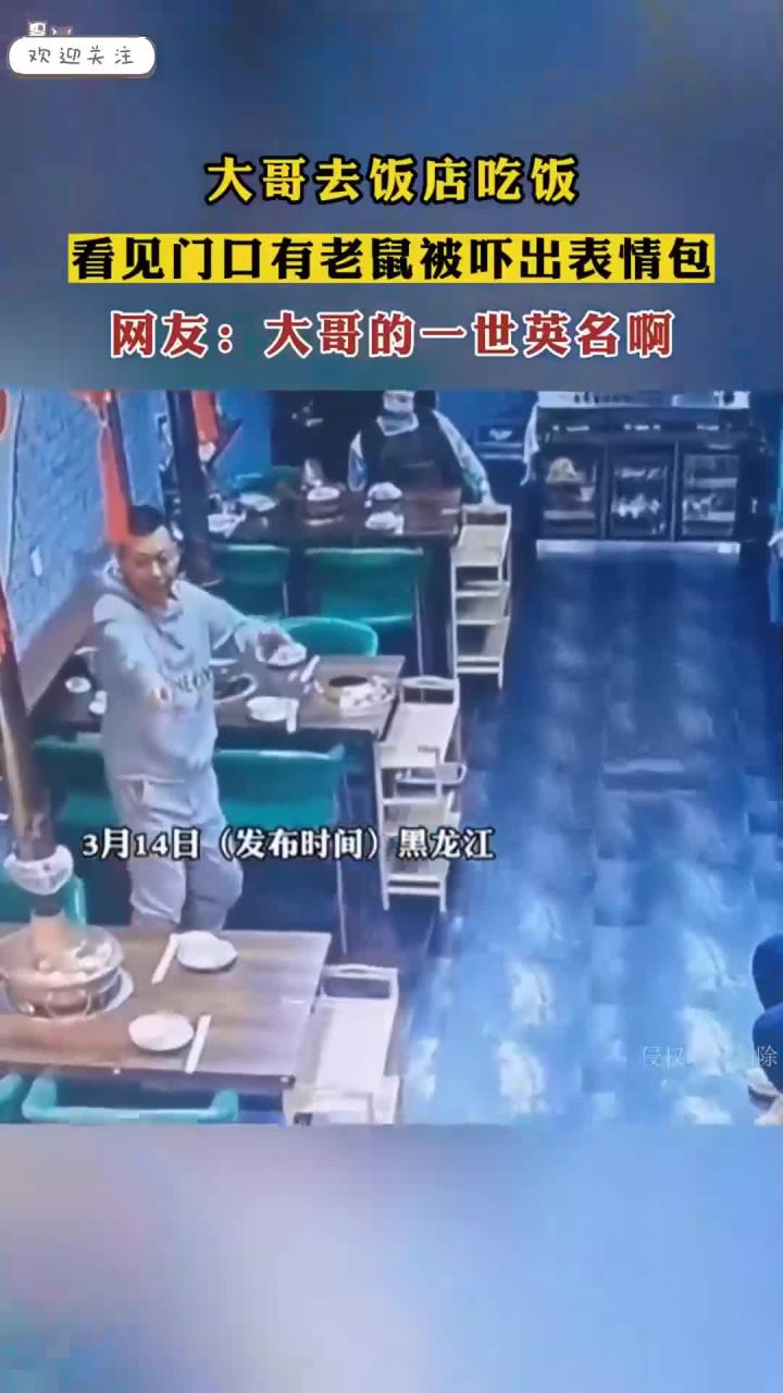 大哥去饭店吃饭，看见门口有老鼠被吓出表情包。网友：一世英名啊