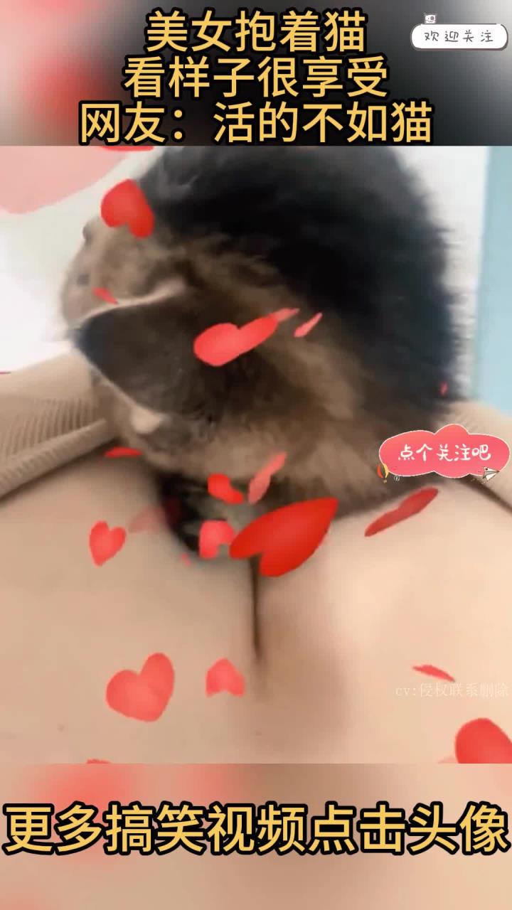美女抱着猫,看样子很享受,网友:活的不如猫!