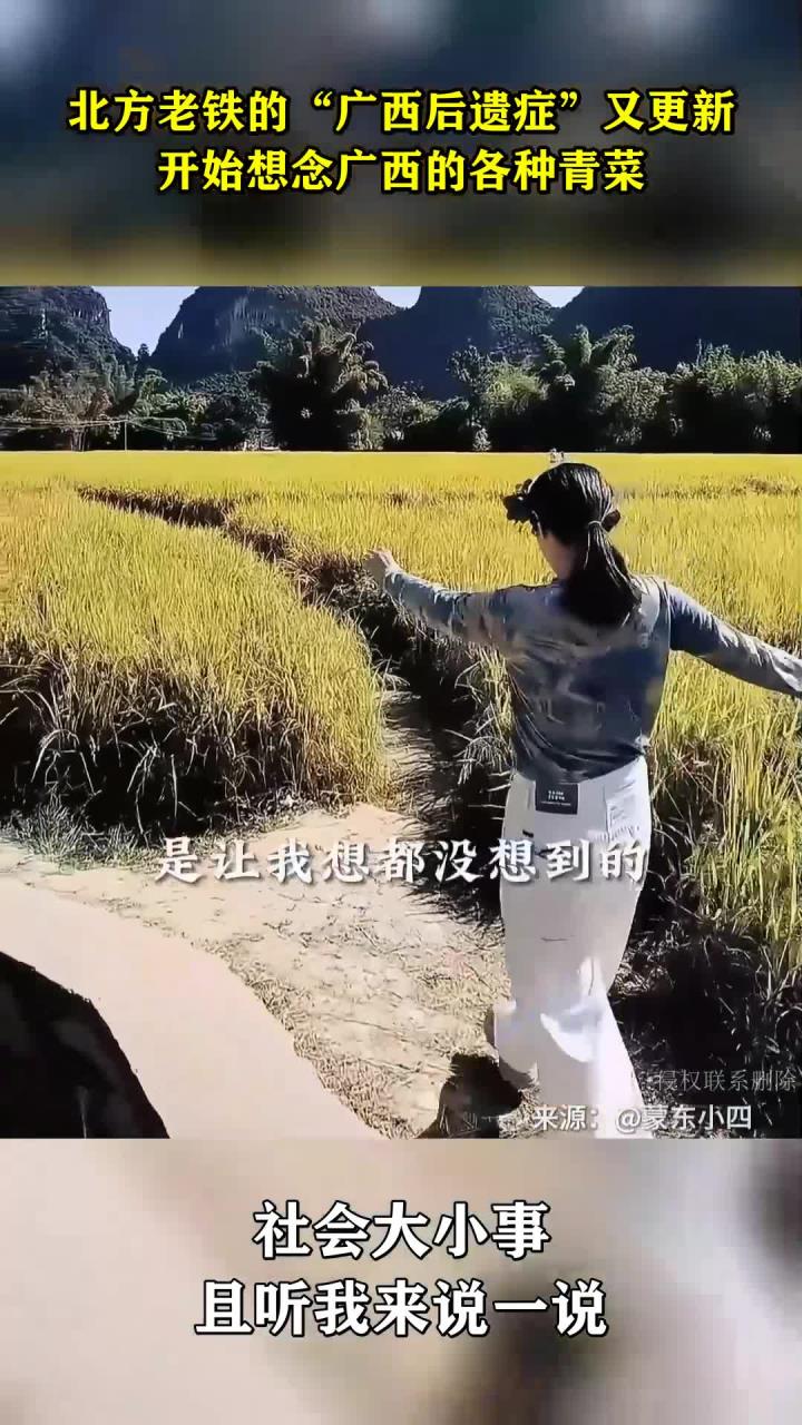 北方老铁的“广西后遗症”又更新,开始想念广西的各种青菜