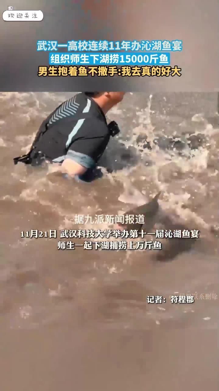 武汉一高校连续11年办沁湖鱼宴,组织师生下湖捞15000斤鱼