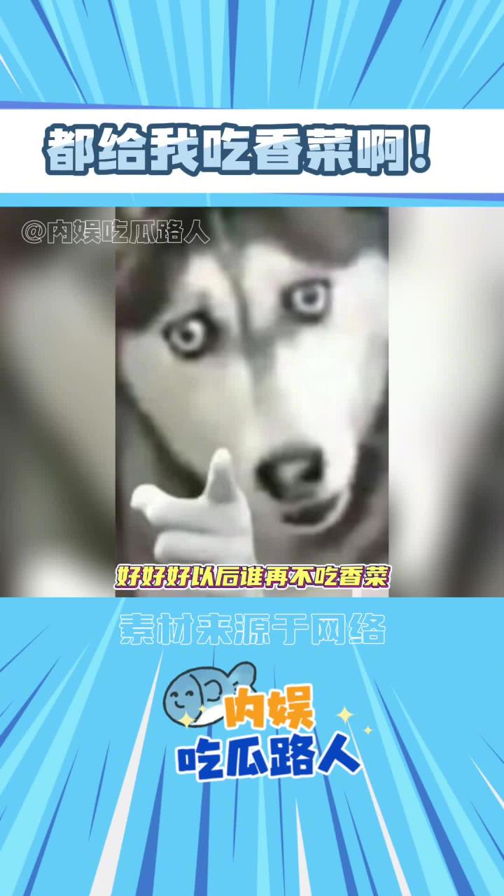 讨厌香菜就是和聪明美丽过不去！都给我吃香菜！