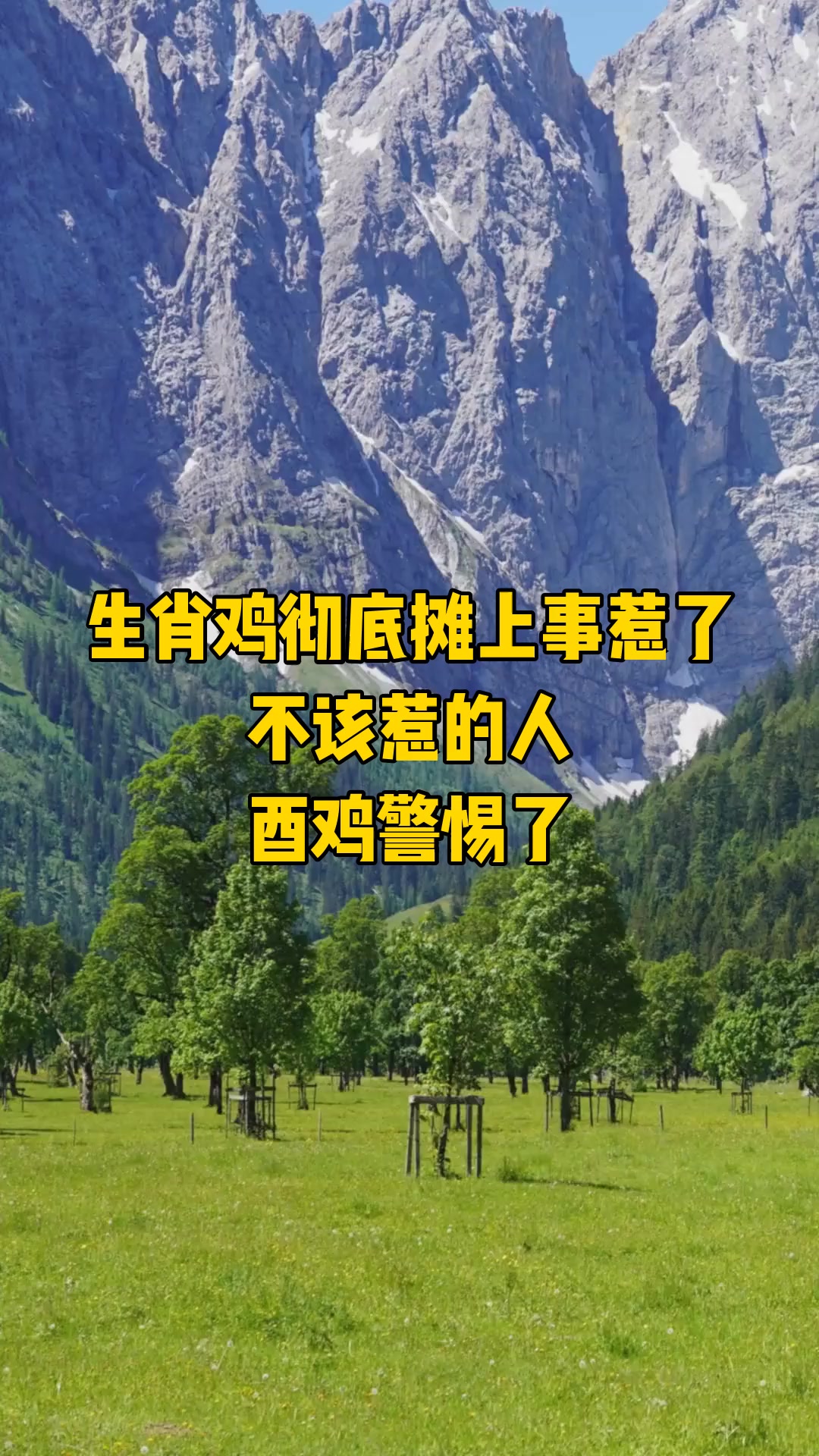 生肖鸡彻底摊上事惹了不该惹的人,酉鸡警惕了