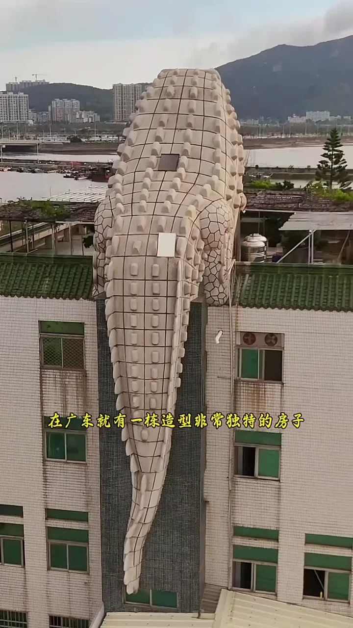 在广东发现一栋造型非常独特的房子,房顶上设计鳄鱼爬楼